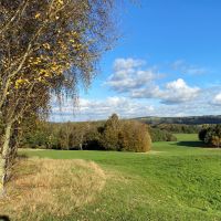 Rewilding of Allestree Park awarded £1.1 million to deliver community’s vision